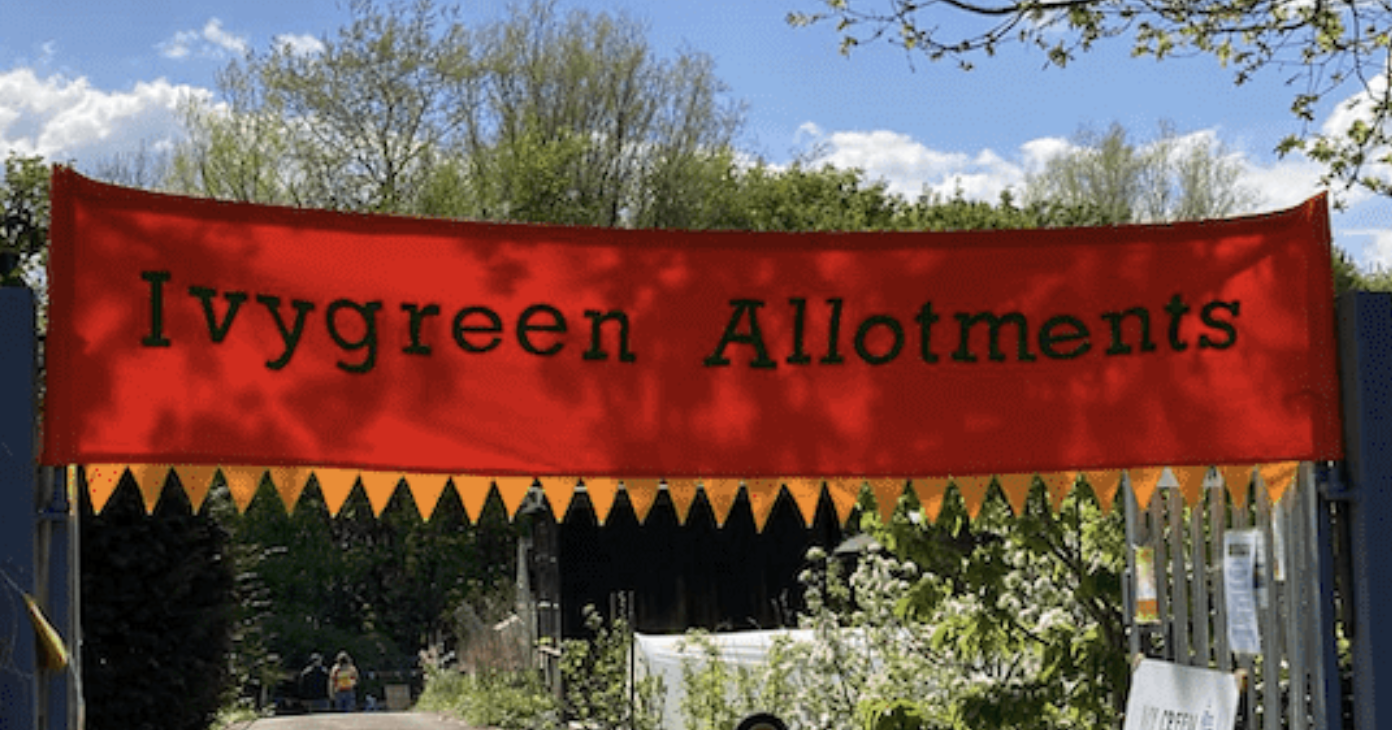 Ivygreen Allotments